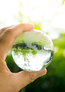 SUSTAINABILITY DEVELOPMENT