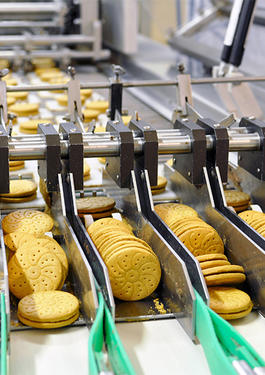 food manufacturing 2