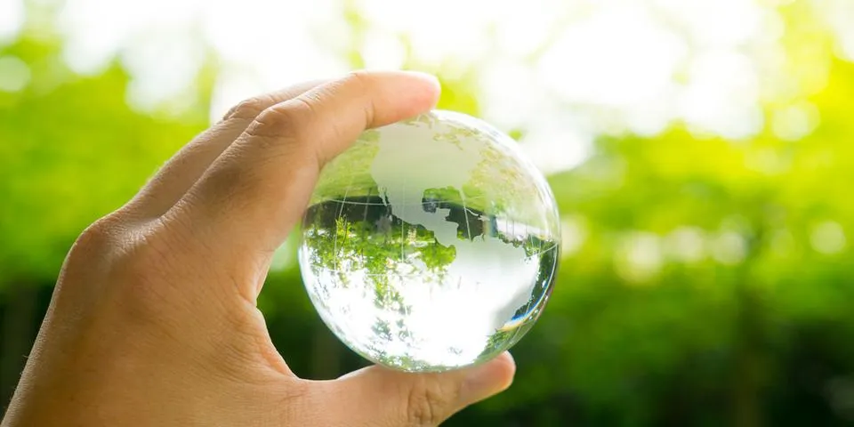 SUSTAINABILITY DEVELOPMENT